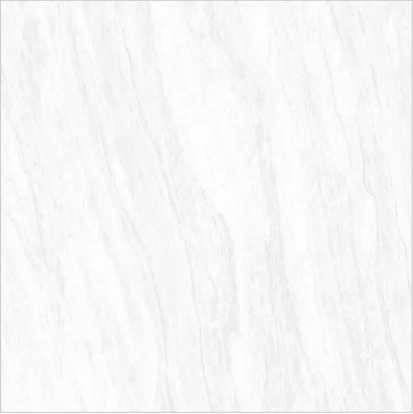Porcelain Glossy 2x2 Floor Tiles