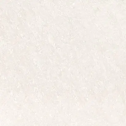 Porcelain Glossy 2x2 Floor Tiles